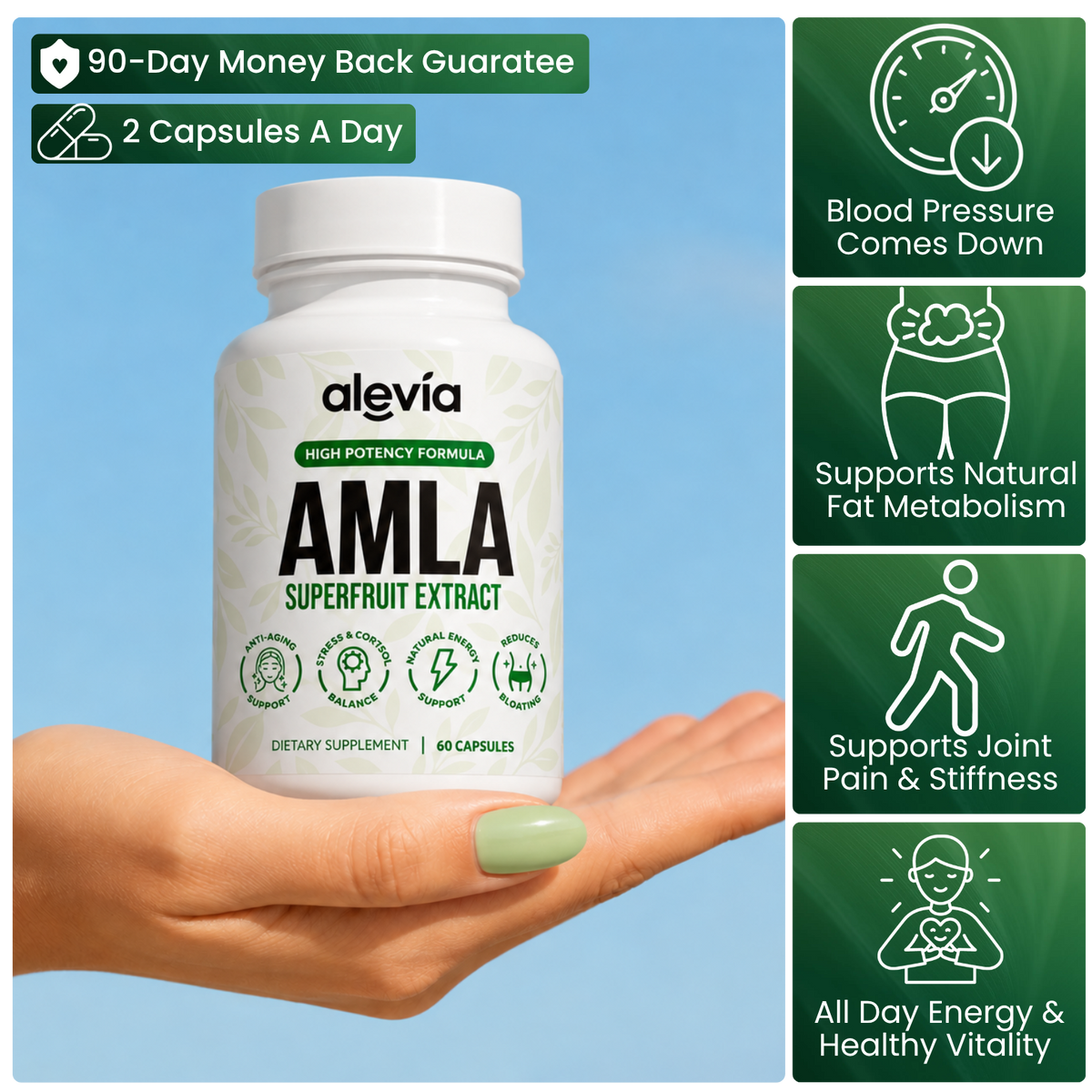 Alevia's Amla