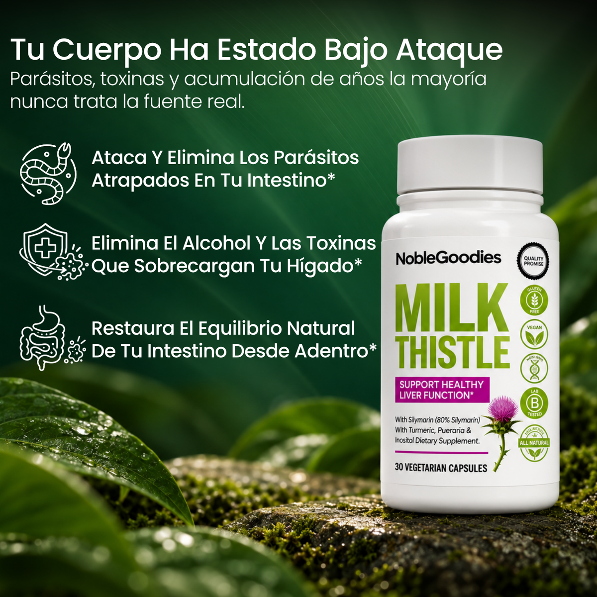 Milk Thistle