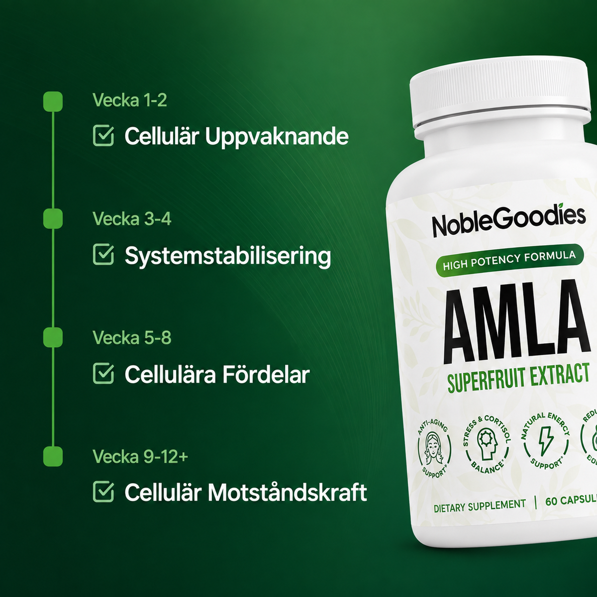 Amla Superfruit-11