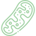 Powers Your Mitochondria